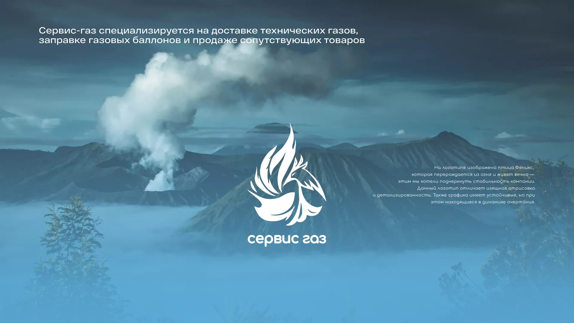 Создание сайта компании «Сервис газ» в Дальнереченске
