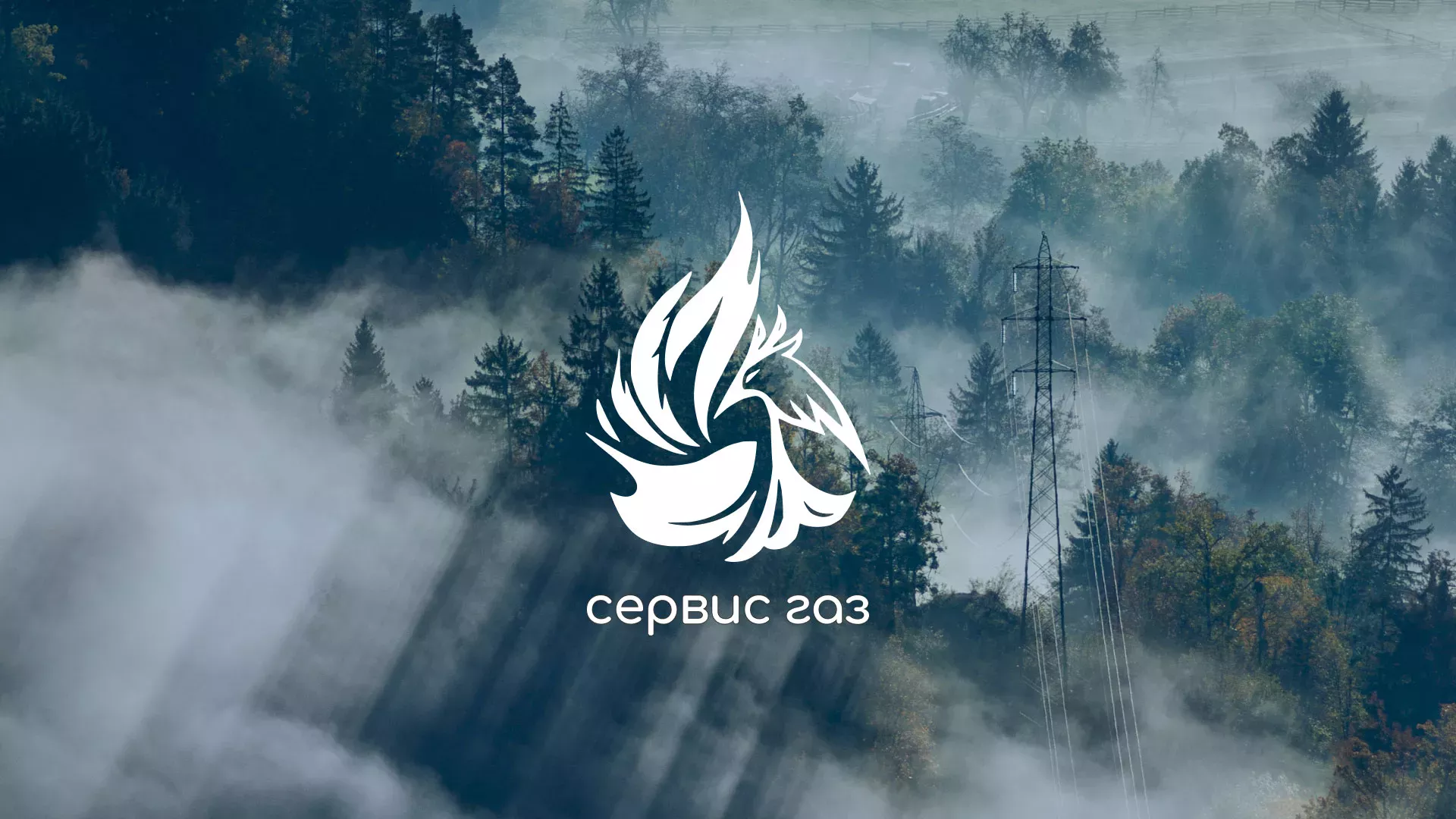 Создание сайта компании «Сервис газ» в Дальнереченске