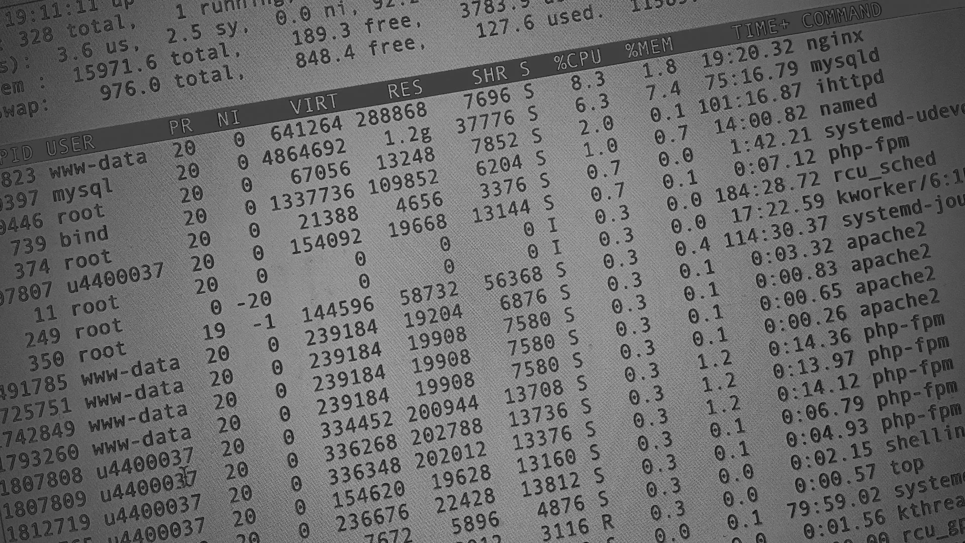 Настройка сервера в Дальнереченске