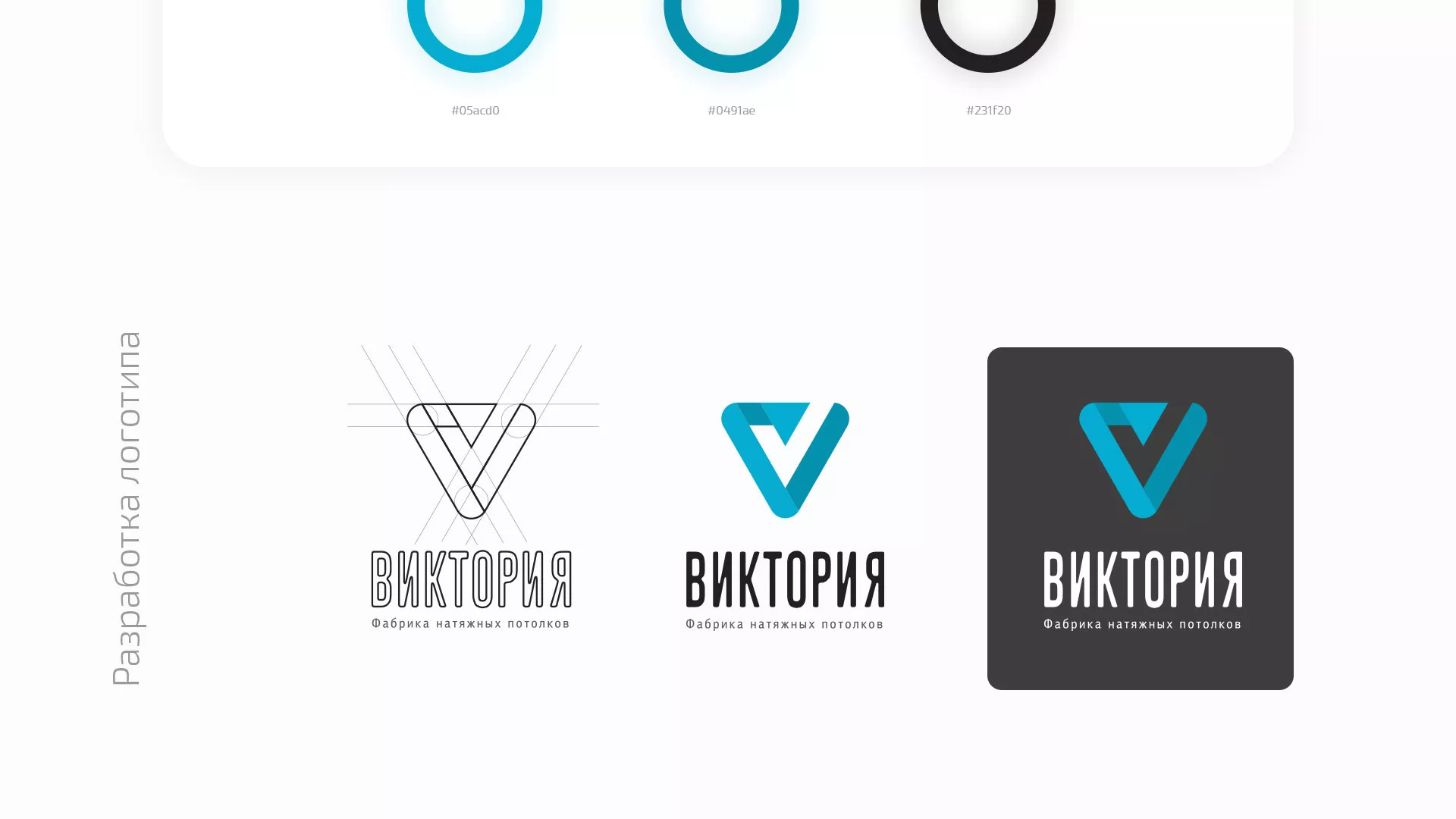 Разработка фирменного стиля компании по продаже и установке натяжных потолков в Дальнереченске